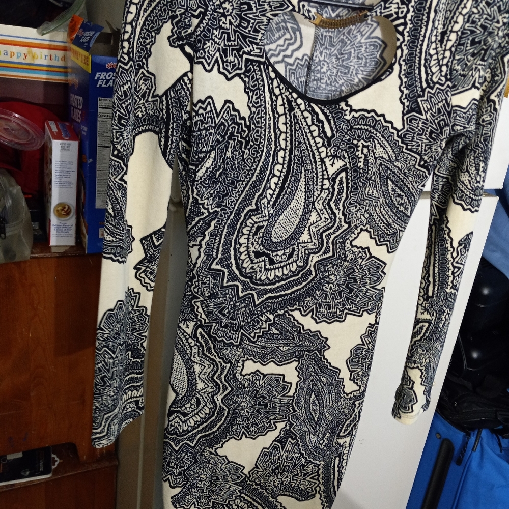 The vintage shop dress